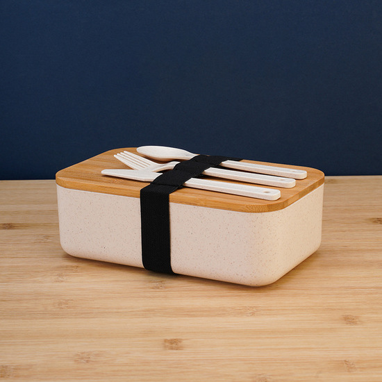Japanese style lunchbox